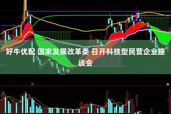 好牛优配 国家发展改革委 召开科技型民营企业座谈会